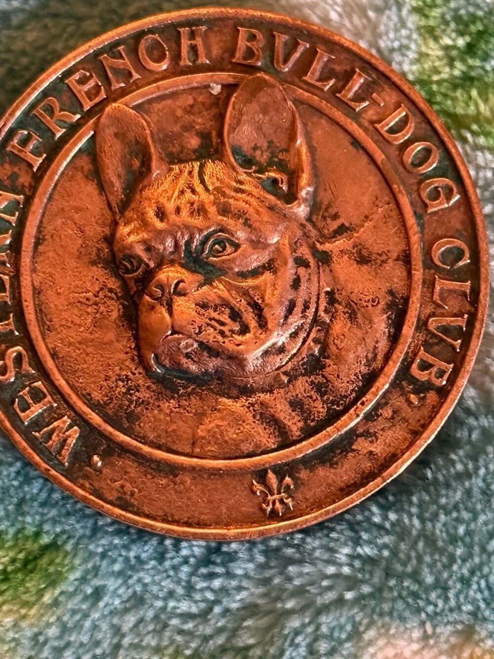 Antique Western French Bulldog Club Copper Award Medal Coin